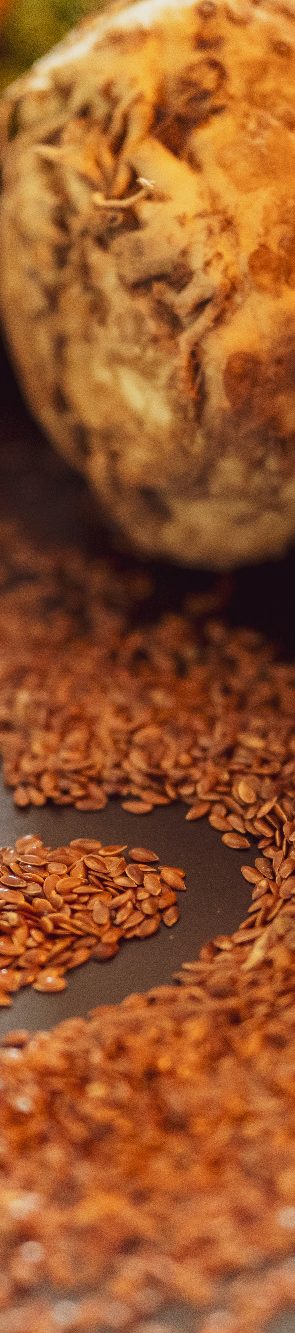 gesunde Ernährung im Joballtag Leinsamen und ein Knollensellerie