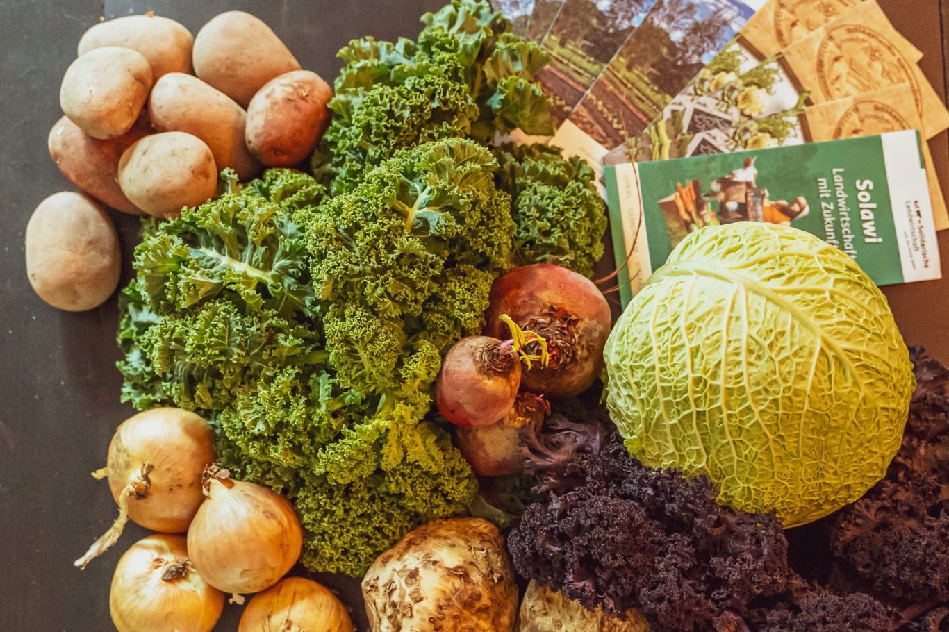 Regionale Produkte in und um Rostock Ein Tisch voller Wintergemüse und Flyern von Biohöfen